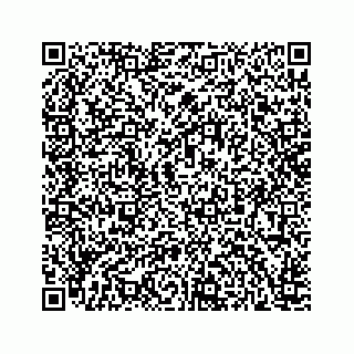 vCard 78166753384