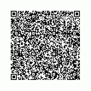 vCard 78166753385