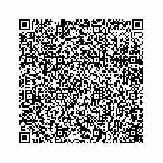 vCard 78166753387