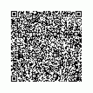vCard 78166753388