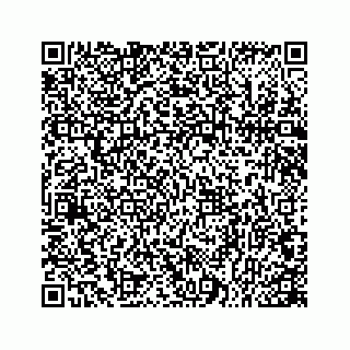 vCard 78166753389