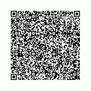 vCard 78166753399