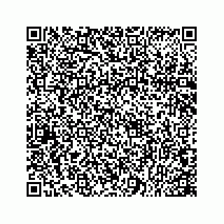 vCard 78166753408