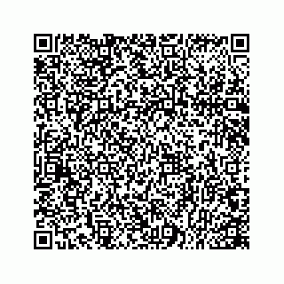 vCard 78166753409