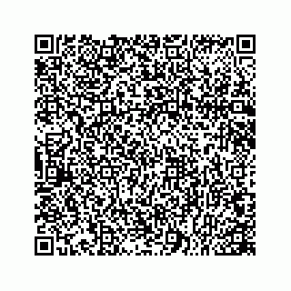 vCard 78166753411