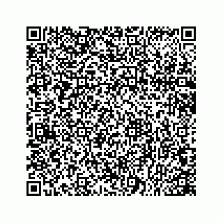 vCard 78166753413