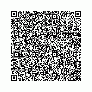 vCard 78166753519