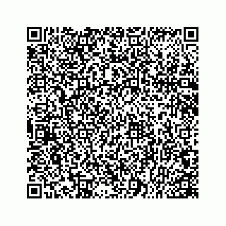 vCard 78166753521