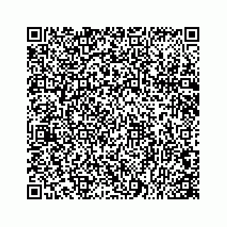 vCard 78166753529