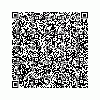vCard 78166753907