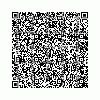 vCard 78166753909