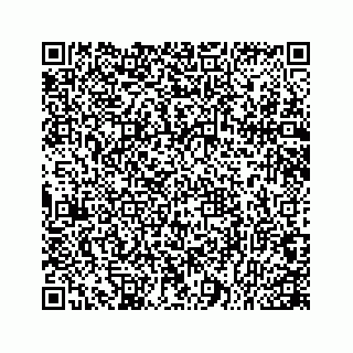 vCard 78166753921