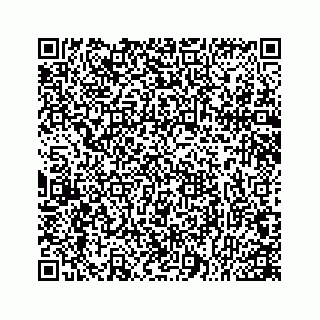 vCard 78166753931