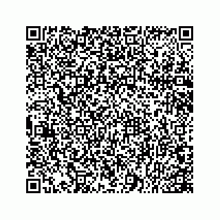 vCard 78166753941