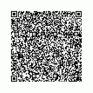 vCard 78166753949