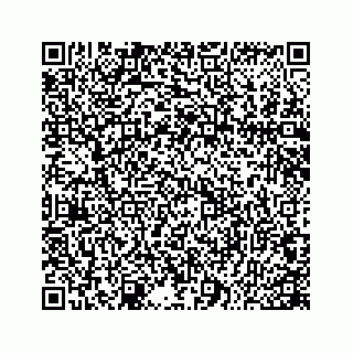 vCard 78166760090