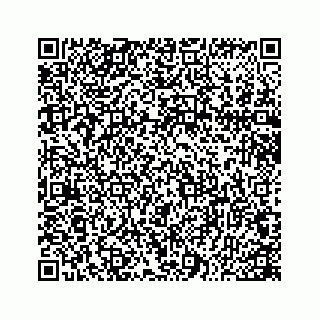 vCard 78166760093