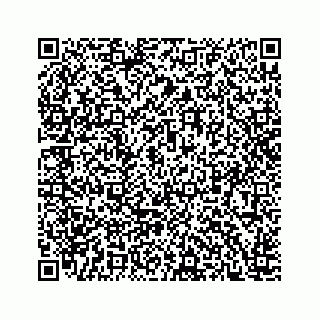 vCard 78166760095