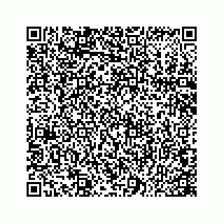 vCard 78166760100