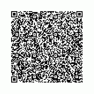 vCard 78166760217