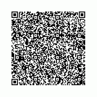 vCard 78166760291