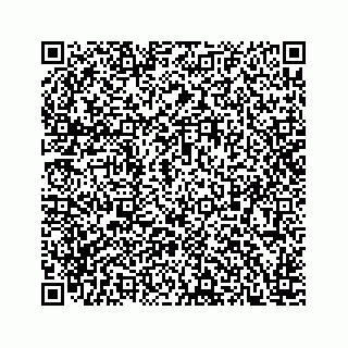 vCard 78166760295