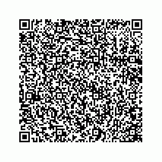 vCard 78166760300