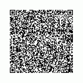 vCard 78166760313