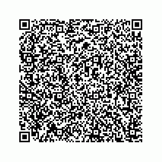 vCard 78166760380