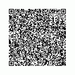 vCard 78166760381
