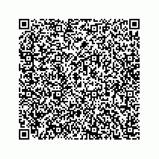 vCard 78166760384