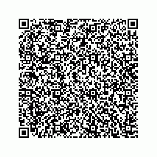 vCard 78166760387