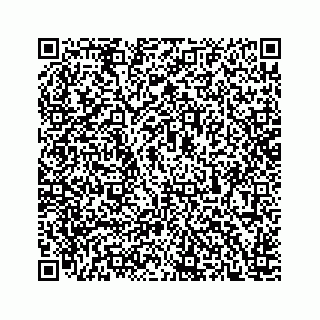 vCard 78166760388