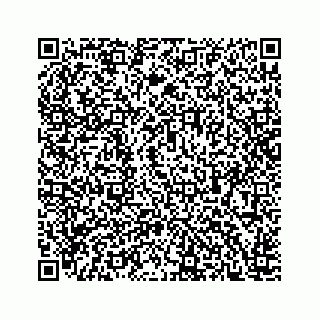 vCard 78166760389