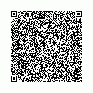 vCard 78166865213