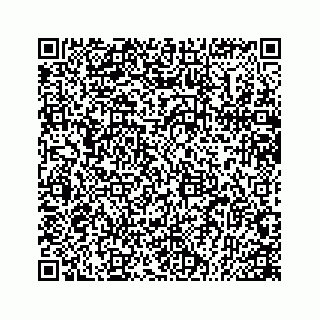 vCard 78166865383