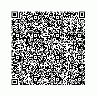 vCard 78166867919