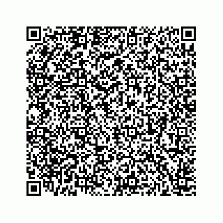 vCard 78166867968
