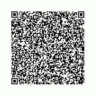 vCard 78166959311