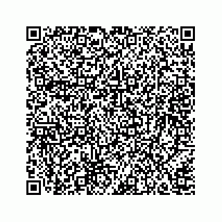 vCard 78166959313