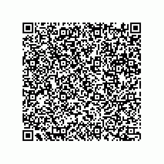 vCard 78172267137