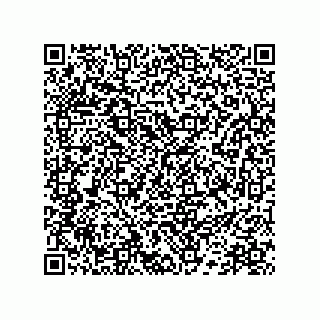 vCard 78172267287