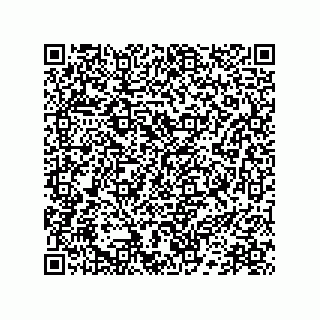 vCard 78172267289
