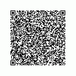 vCard 78172267311