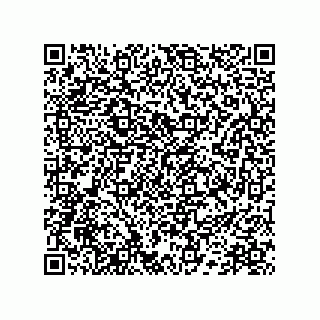 vCard 78172267313