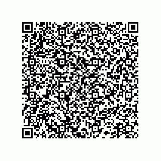 vCard 78172267319
