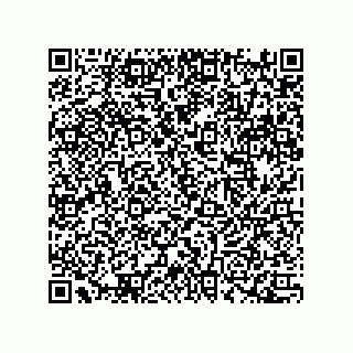 vCard 78172267376