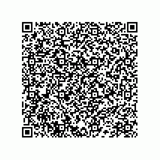 vCard 78172267378