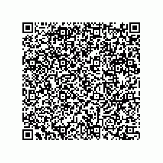 vCard 78172267379