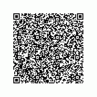 vCard 78172267385